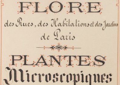 Georges Bainier ou la cueillette des champignons (1) - Bibliothèques ...