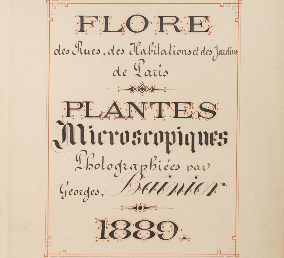 Georges Bainier ou la cueillette des champignons (1) - Bibliothèques ...